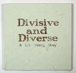 Divisive and Diverse: a U.S. voting story - 1